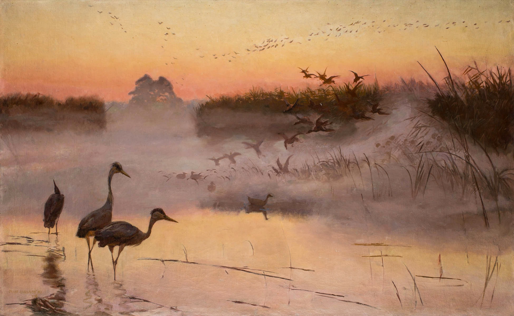 Dawn—The Kingdom of Birds